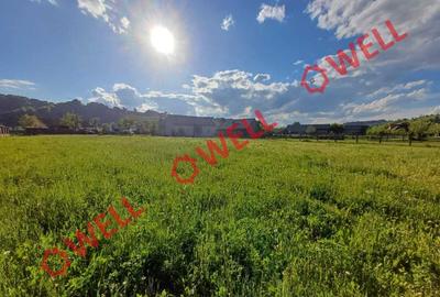 Teren agricol intravilan de 2293 mp, în Sita Buzăului - 2