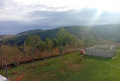 Teren de 1000 mp, în Florești