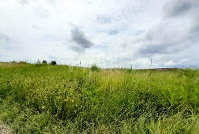 Teren Construcții intravilan de 21354 mp, în Cheriu - 2