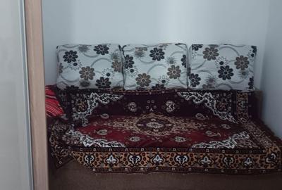 Apartament cu 2 camere semidecomandat în Teilor - 8