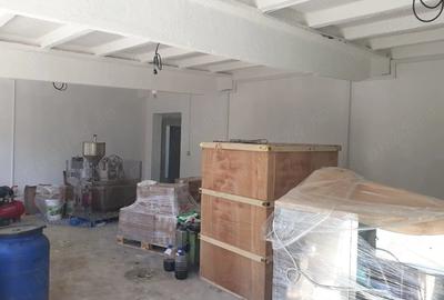 Spațiu comercial, de 350 mp, în Orțișoara - 1