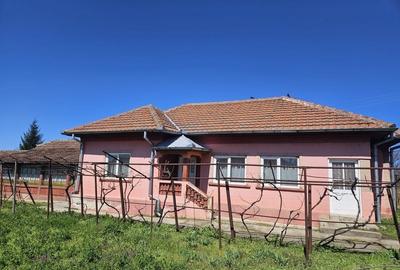 Casă cu 4 camere în Goicea - 3