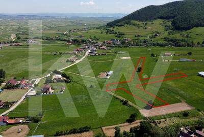 Teren agricol extravilan de 4981 mp, în Gura Râului - 3