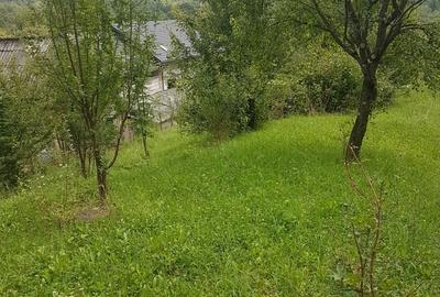 Teren de 2300 mp, în Runcu - 3