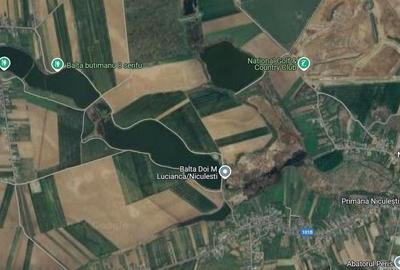 Teren agricol extravilan de 85537 mp, în Butimanu - 2