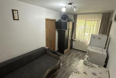 Apartament cu 2 camere semidecomandat, mobilat în Tătărași