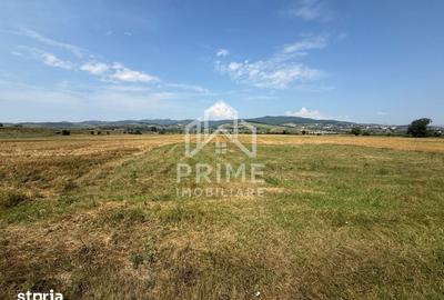 Teren de 870 mp, în Partoș
