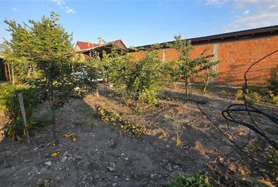 Casă cu 3 camere cu Teren 1410 Mp în Checea