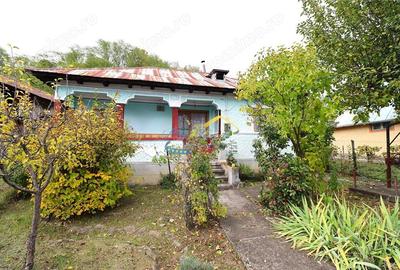 Casă cu 3 camere cu Teren 4930 Mp în Aluniș - 1