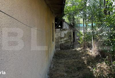 Casă cu 3 camere în Pleșoi