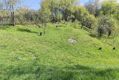 Teren de 3800 mp, în Mioarele - 1