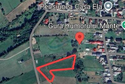 Spațiu comercial, în Curtești