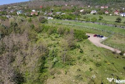 Teren de 850 mp, în Pietrărie - 5