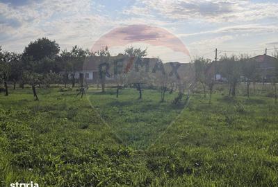 Casă cu 7 camere cu Teren 1439 Mp în Darova - 3