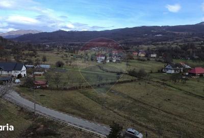 Teren de 2007 mp, în Șișești - 2