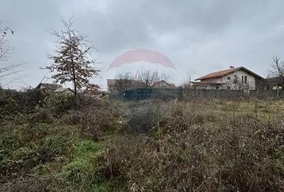 Teren de 1200 mp, în Satu Nou de Jos - 1