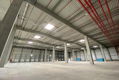 Spațiu industrial, de 20,400 mp, în Sud - 2