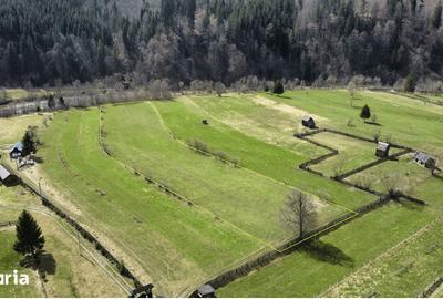 Teren de 8704 mp, în Vatra Moldoviței - 7