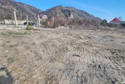 Teren de 4200 mp, în Gura Văii - 1