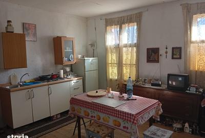 Casă cu 2 camere cu Teren 4320 Mp în Bata