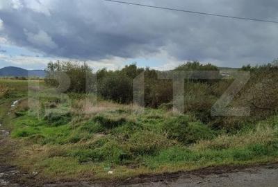 Teren Construcții extravilan de 7000 mp, în Exterior Sud
