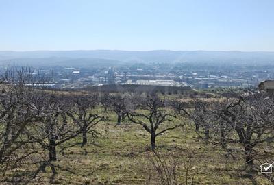 Teren Construcții intravilan de 8900 mp, în Iris - 2