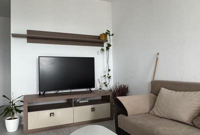Apartament cu 2 camere decomandat în Ampoi 3 - 2