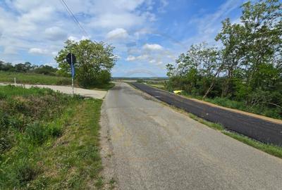 Teren Construcții intravilan de 1000 mp, în Ardud-Vii - 3