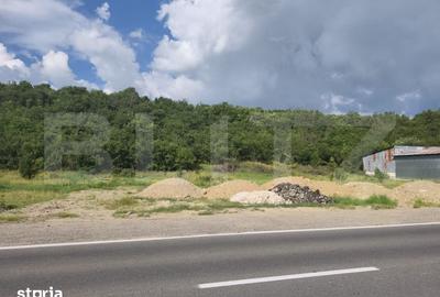 Teren de 3500 mp, în Dragomirești