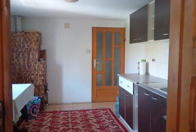 Casă cu 2 camere cu Teren 1000 Mp în Pătulele - 4