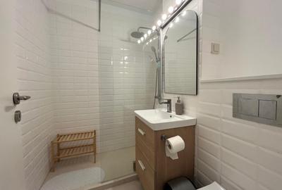Apartament cu 2 camere decomandat, mobilat în Camil Ressu - 6