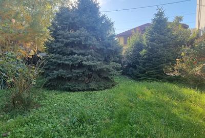 Casă cu 6 camere cu Piscina în Drumul Taberei - 4
