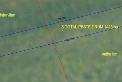 Casă cu 5 camere cu Teren 3650 Mp în Sutești - 9