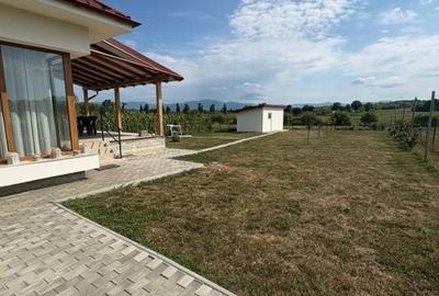 Casă cu 4 camere cu Teren 1200 Mp în Dumbrăvița
