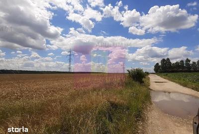 Teren de 715 mp, în Balotești