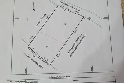 Spațiu comercial, în Valea Babei - 1