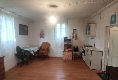 Casă cu 3 camere în Ohaba Română - 6