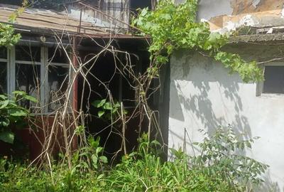 Casă cu 3 camere cu Teren 306 Mp în Calea București - 3