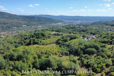 Teren de 4849 mp, în Căzănești (Râmnicu Vâlcea)