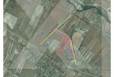 Teren de 105000 mp, în Căteasca - 1