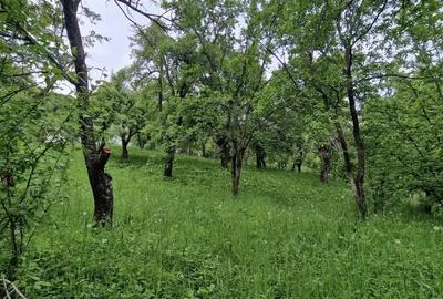 Teren de 1496 mp, în Moroeni - 2