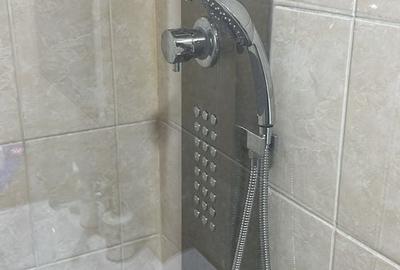 Apartament cu 3 camere decomandat în Dosu Bricii