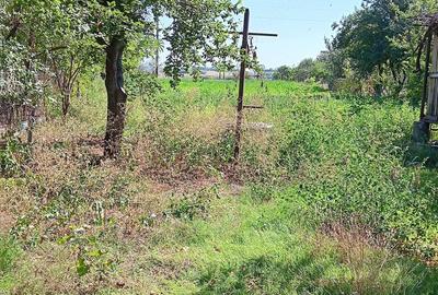 Casă cu 5 camere cu Teren 1740 Mp în Movila Miresii