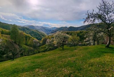 Casă cu 4 camere în Luncani - 4