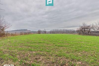 Casă cu 5 camere cu Teren 2837 Mp în Buteni - 12