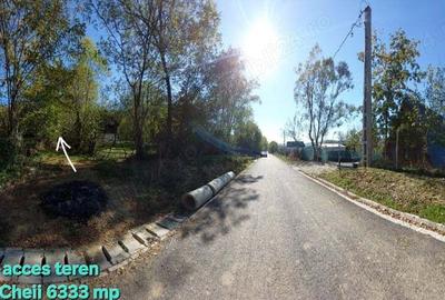 Teren de 6333 mp, în Brebu - 4