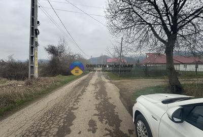 Teren Construcții intravilan de 1200 mp, în Vădurele (Alexandru cel Bun) - 4
