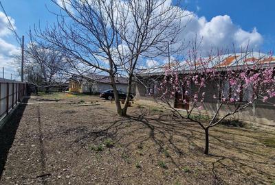 Casă cu 4 camere în Berteștii de Jos - 6