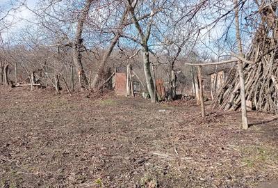 Casă cu 2 camere cu Teren 1000 Mp în Central - 3