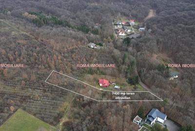 Teren intravilan de 7400 mp, în Tăuții-Măgherăuș - 3